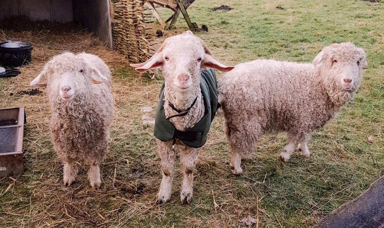 Bastle Retreats Farm Cottage Duns エクステリア 写真