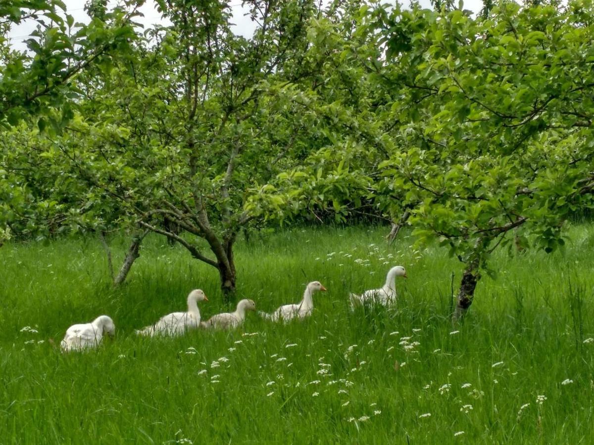 Bastle Retreats Farm Cottage Duns エクステリア 写真