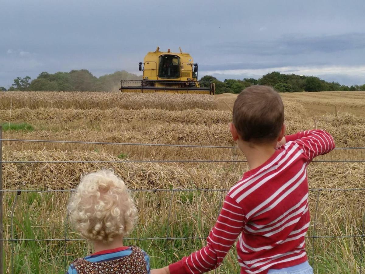 Bastle Retreats Farm Cottage Duns エクステリア 写真